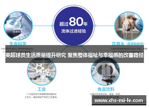 英超球员生活质量提升研究 聚焦整体福祉与幸福感的改善路径 英超球员生活质量提升研究 聚焦整体福祉与幸福感的改善路径