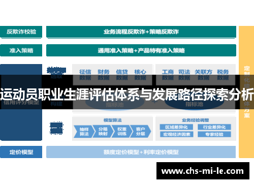 运动员职业生涯评估体系与发展路径探索分析