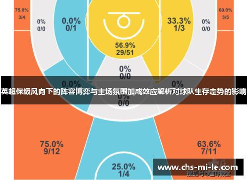 英超保级风向下的阵容博弈与主场氛围加成效应解析对球队生存走势的影响