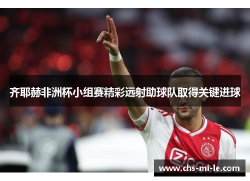 齐耶赫非洲杯小组赛精彩远射助球队取得关键进球