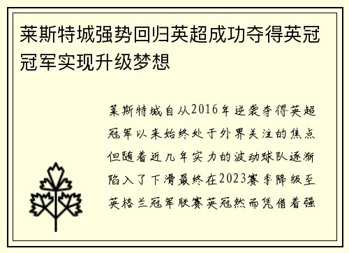 莱斯特城强势回归英超成功夺得英冠冠军实现升级梦想